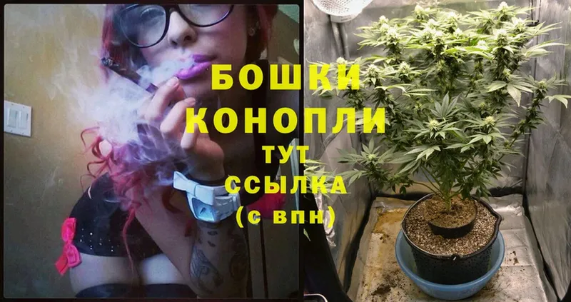 блэк спрут как зайти  Бологое  Бошки Шишки White Widow  наркотики 